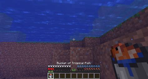 How To Get A Bucket Of Fish In Minecraft On Mobile