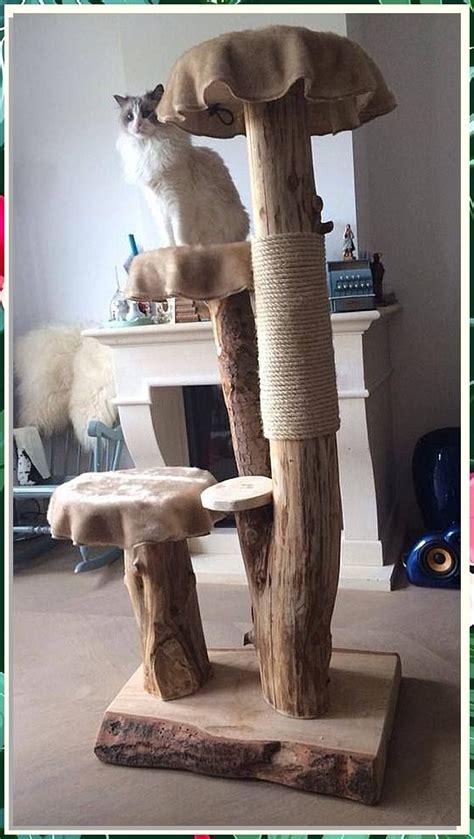 How To Get A Cat From A Tree