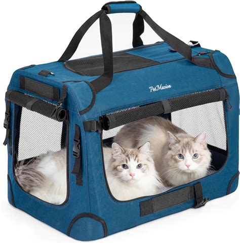 How To Get A Cat In Pet Carrier