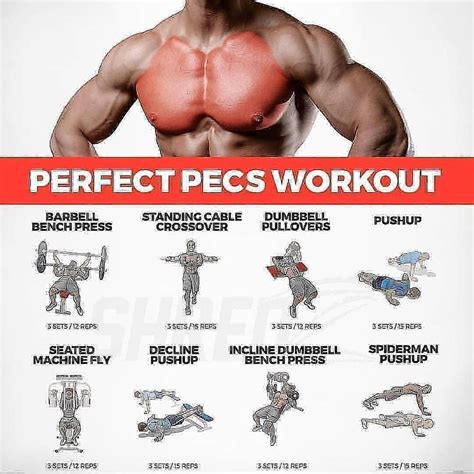 How To Get A Chest Muscle