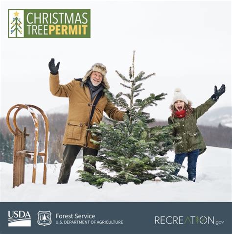 How To Get A Christmas Tree Permit In Utah