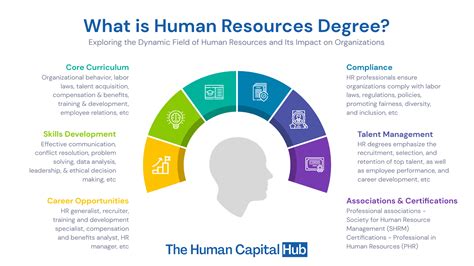 how to get a degree in human resources