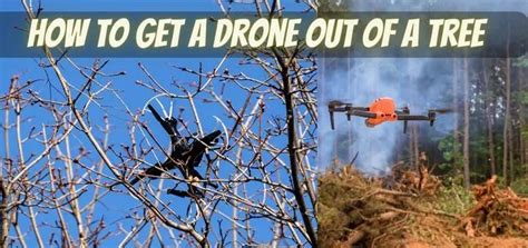 How To Get A Drone Out Of A Tree 2023 Top Full Guide LucidCam