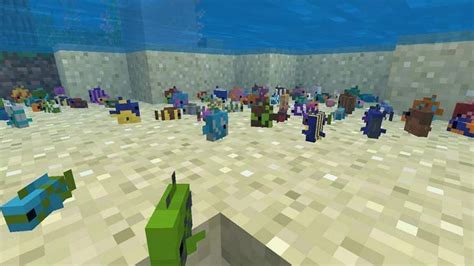 How To Get A Fish In A Bucket In Minecraft On A Phone