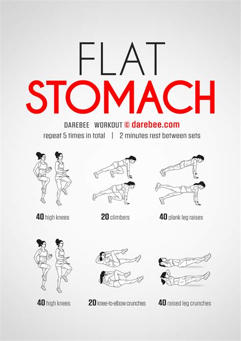 How To Get A Flat Stomach Exercise Routine   The Ultimate Guide