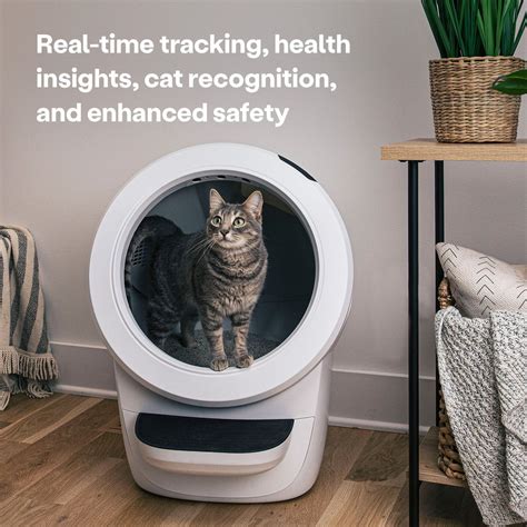 How To Get A Free Litter Robot