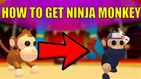 How To Get A Free Ninja Monkey In Adopt Me