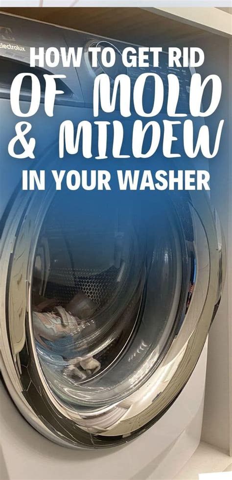 How To Get A Front Load Washer To Stop Smelling