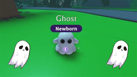 How To Get A Ghost Pet In Adopt Me