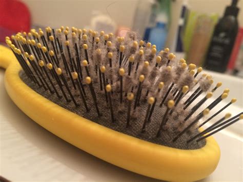Stunning How To Get A Hairbrush Out Of Hair For Hair Ideas