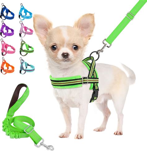 How To Get A Harness On A Puppy