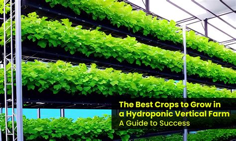 How To Get A Job In Hydroponics