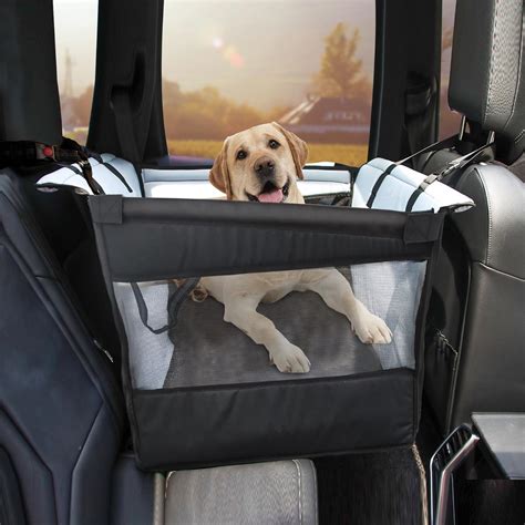 How To Get A Large Dog In The Car