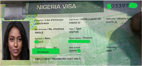 how to get a nigerian visa online