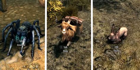 How To Get A Pet In Skyrim