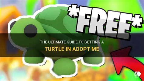 How To Get A Pet Turtle In Adopt Me