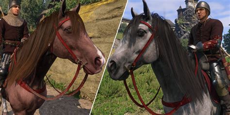 How To Get A Saddle In Ark Survival Evolved