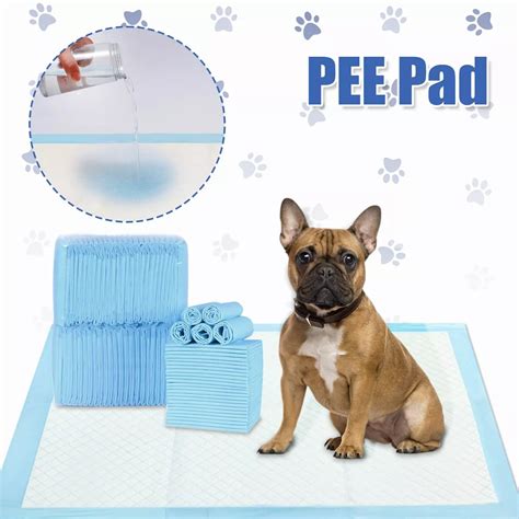 how to get a senior dog to use a pee pad