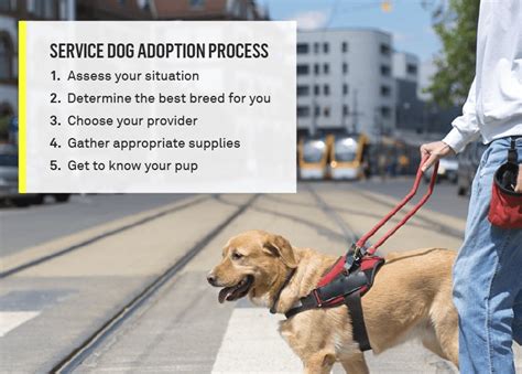 how to get a service dog