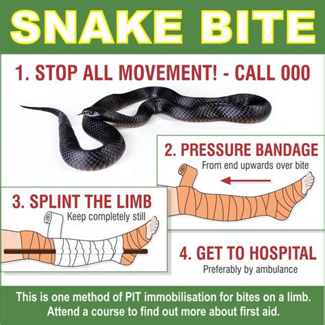 How To Get A Snake Bite