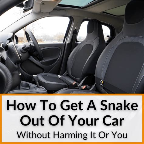 How To Get A Snake Out Of Your Engine