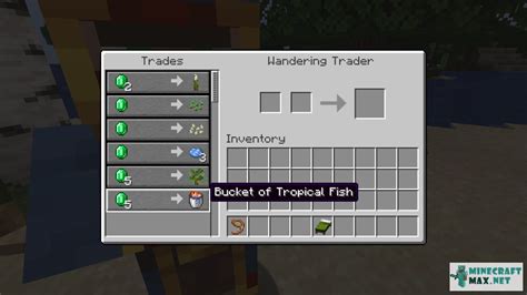 How To Get A Tropical Fish In A Bucket In Minecraft