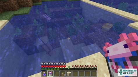 How To Get An Axolotl In A Bucket Minecraft On Mobile