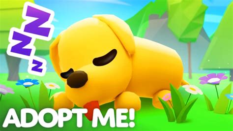 How To Get An Egg In Adopt Me Roblox
