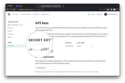 how to get an open api key