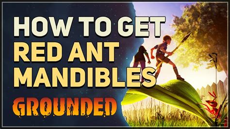 how to get ant mandibles grounded