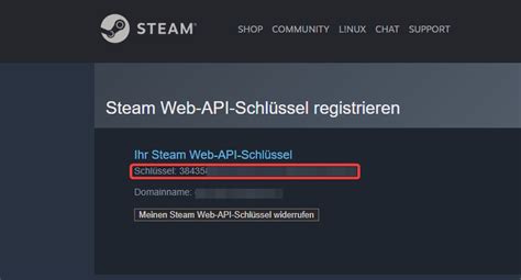 how to get api code steam