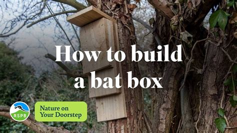 How To Get Bats In A Bat Box