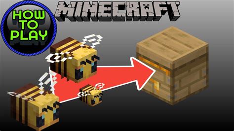 how to get bees to move into a hive minecraft
