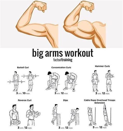 How To Get Arm Muscles At Home No Equipment