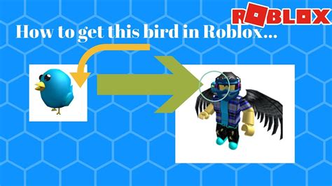 How To Get Bird In Roblox