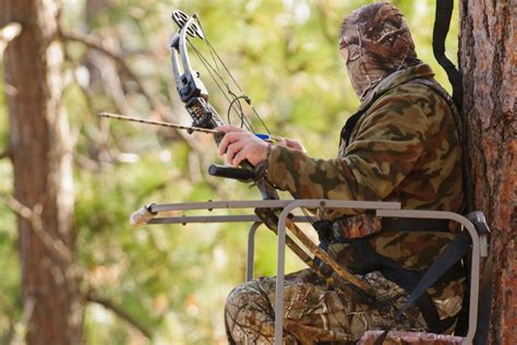 How To Get Bow Into Tree Stand