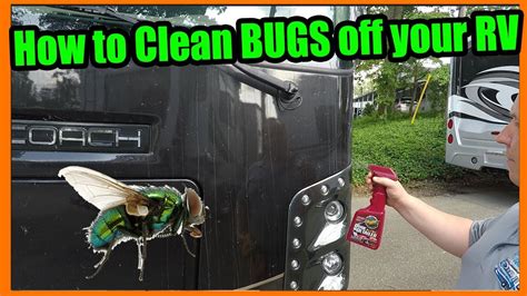 How To Get Bugs Off Front Of Rv