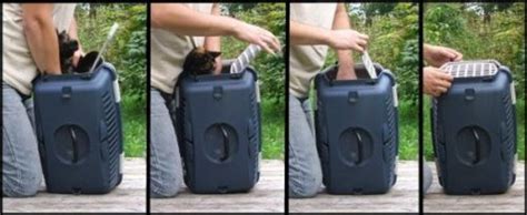 How To Get Cat Into A Carrier