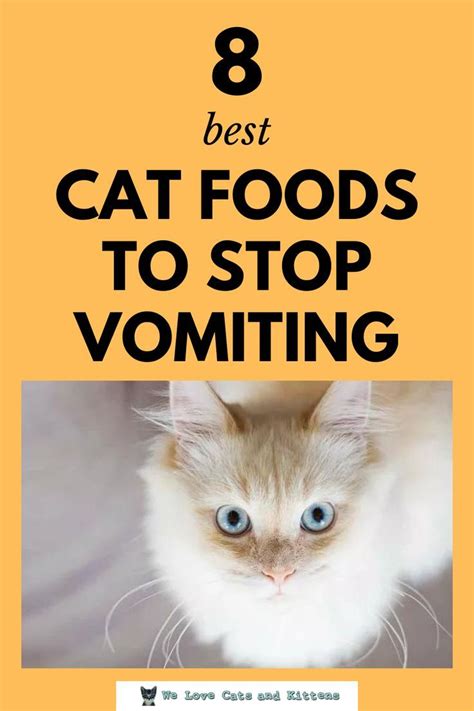 How To Get Cat To Stop Vomiting