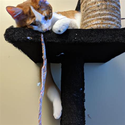 DIY Cat Scratching Post Using PVC Pipe Get Cat To Use Scratching Post
