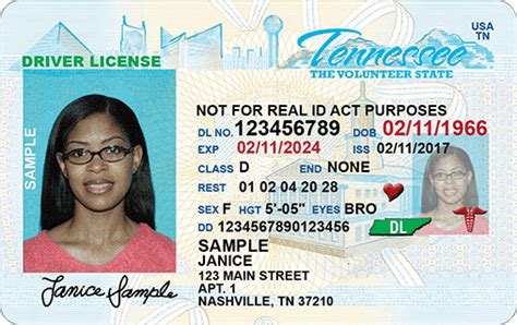 how to get cdl in tn