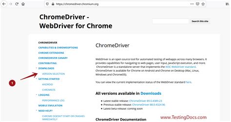how to get chromedriver path