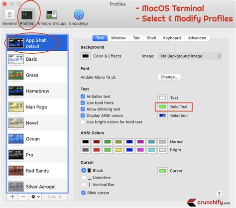 how to get colors in mac terminal