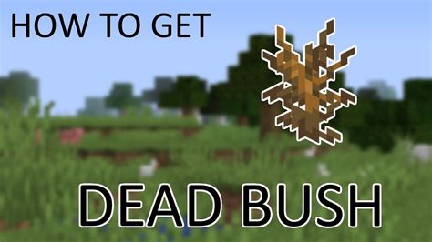 how to get dead bushes in minecraft