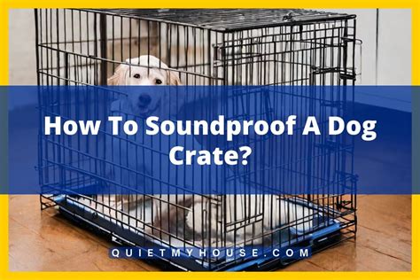 How To Get Dog To Be Quiet In Crate
