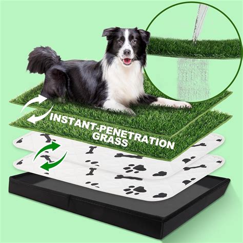 how to get dog to pee on grass pad