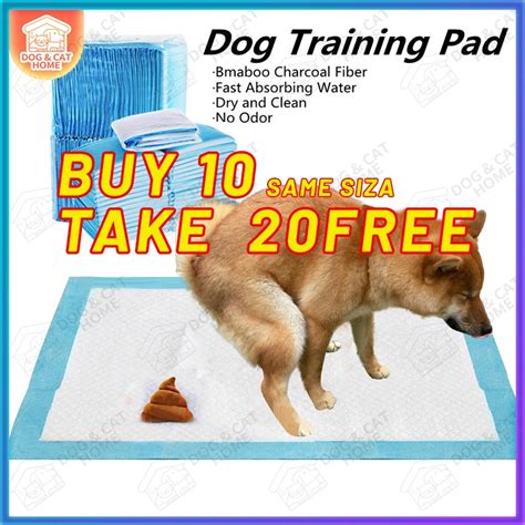 How To Get Dog To Pee On Training Pad