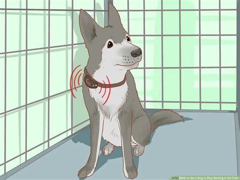 How To Get Dog To Stop Barking In Crate Reddit