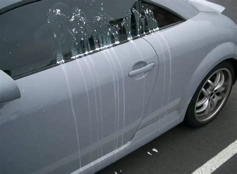 How To Get Egg Off Windshield