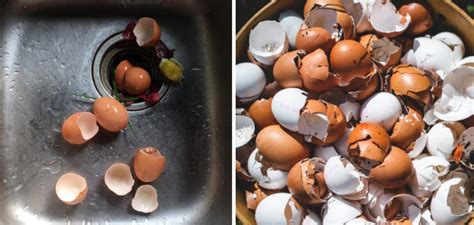 How To Get Eggshells Out Of Garbage Disposal